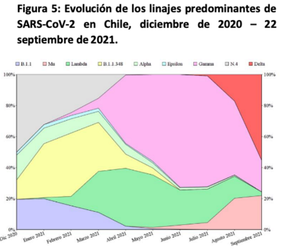 20210927grafico5