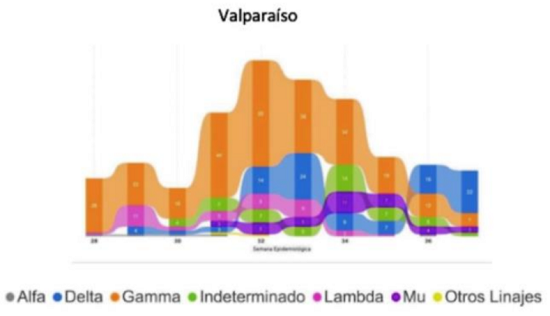 20210927grafico6