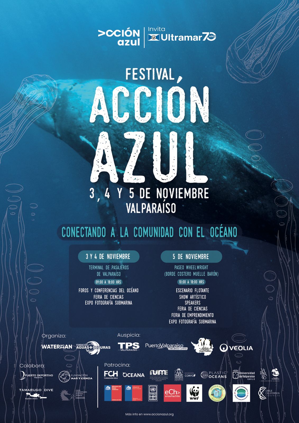 AFICHE OFICIAL ACCIÓN AZUL
