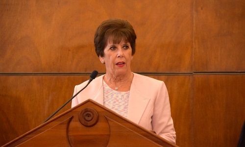 Las Prioridades De María Del Rosario Lavín Nueva Presidenta De La